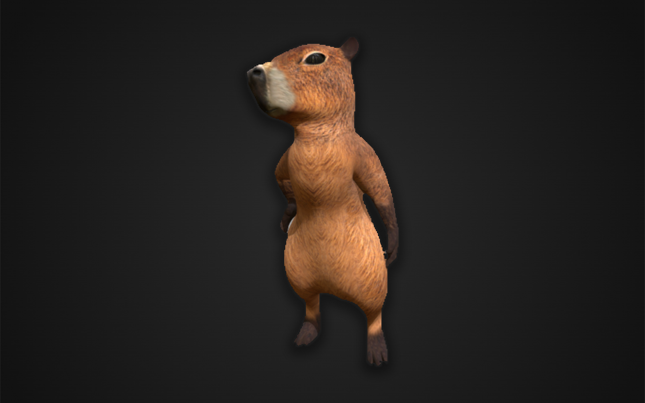 Capybara 3D character model preview